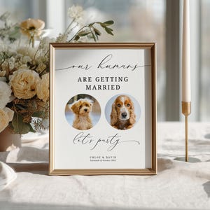 May include: A gold-framed wedding sign featuring the text "our humans ARE GETTING MARRIED" and "let's party" with two circular photos of dogs. The bottom includes the names "CHLOE & DAVID" and the date "Sixteenth of October 20XX" in black text.