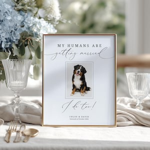 May include: A rectangular sign in a gold frame featuring the text MY HUMANS ARE getting married and I do too! with a central photograph of a black, white, and brown Bernese Mountain Dog. The bottom includes the names CHLOE & DAVID and a date.