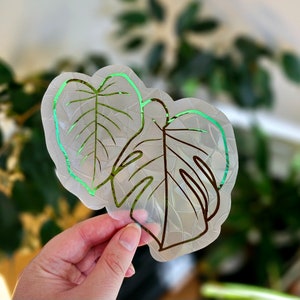 Monstera Suncatcher - Leaf Rainbow Maker Rainbow Prism Sticker Window Decal Clear Plant Window Sticker Tropical Plant Sticker for Window