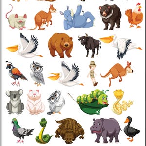 Poster Wildtiere | Lernposter | Kinderzimmer Wandbild, wilde Tiere Poster, Klassenzimmer Dekor, wilde Tiere buntes Plakat, Zooplakat