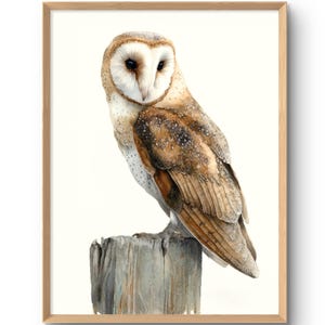 スプレーペイントで描かれた空飛ぶフクロウの壁アート。 - Etsy 日本