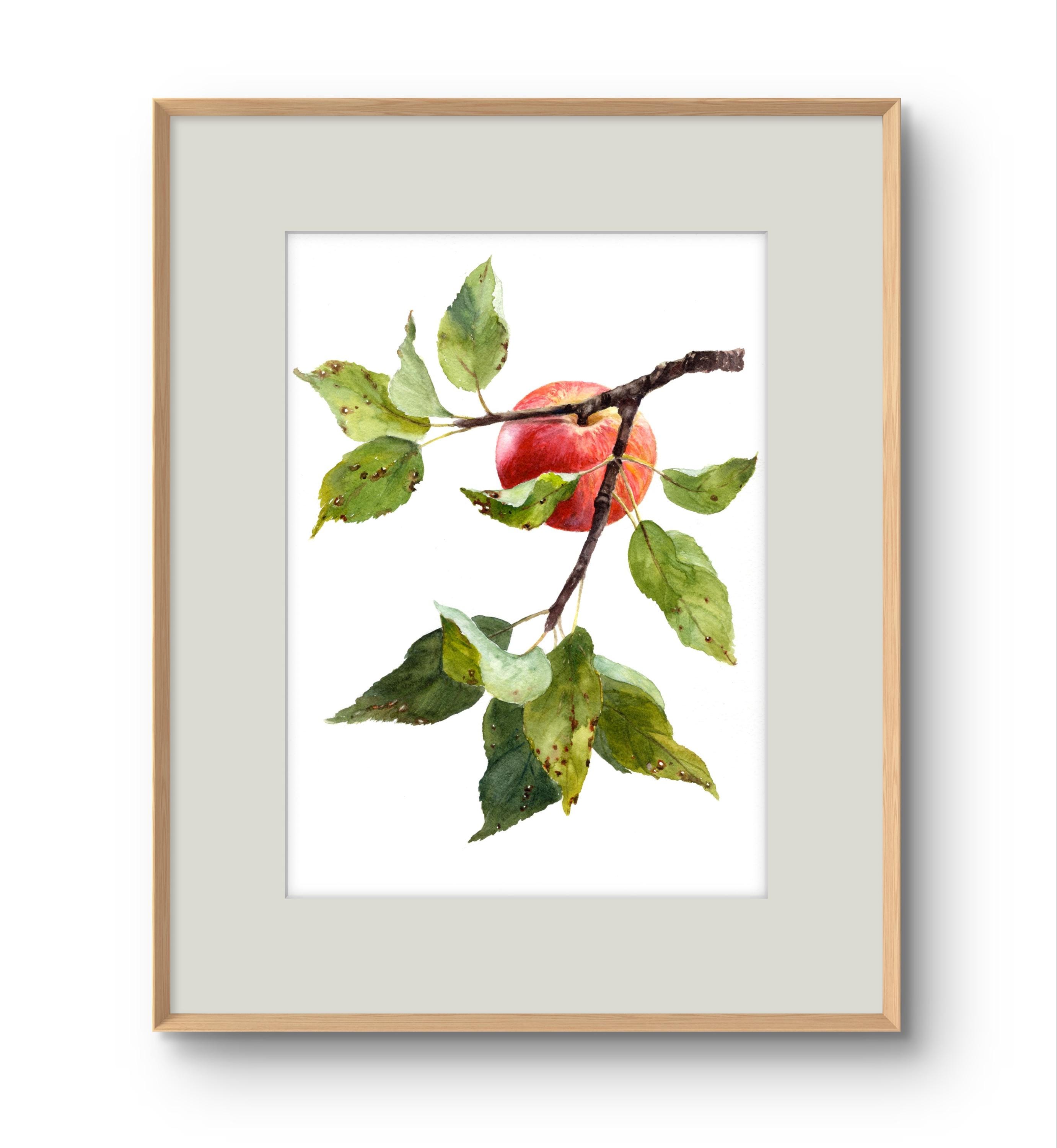 Apple Watercolor Art Print Botanical Painting Apple Tree Print ...