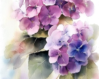 Hydrangea Art Print: Purple Floral Botanical Watercolor Style Wall Decor