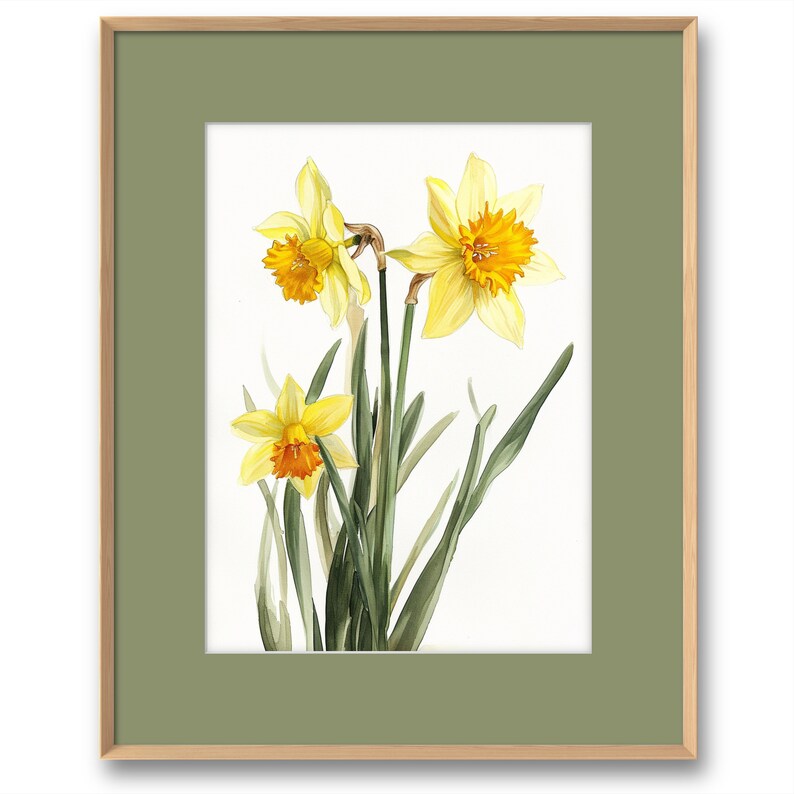 May include: A watercolor painting of three yellow daffodils with orange centers. The flowers are in bloom and have green stems and leaves.