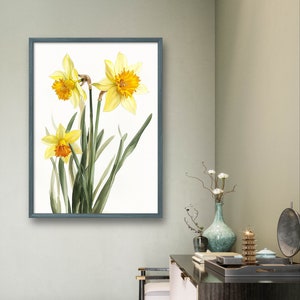 May include: A framed watercolor painting of yellow daffodils with orange centers and green leaves on a white background.