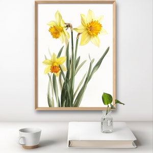 May include: A framed watercolor painting of three yellow daffodils with orange centers. The flowers are depicted with green leaves against a white background.