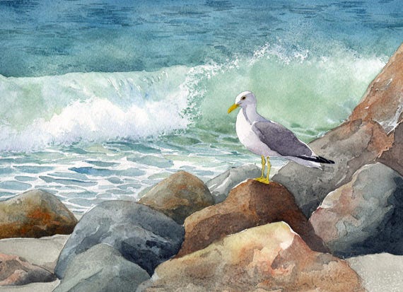 Seagull Art Print Ocean Rocky Coastline Wall Art Coastal Decor