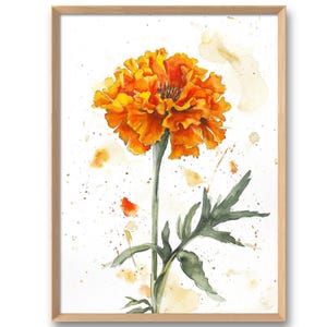 Ringelblume Kunstdruck Blumen Wand Kunst Aquarell Stil Ringelblume Wand Kunst Orange Blumen Großes Poster Botanische Wanddeko