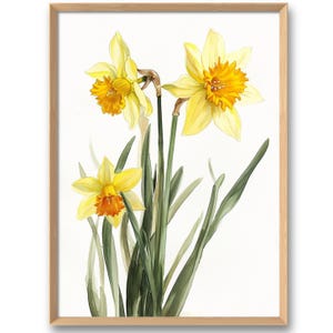Gelbe Narzissen Art Print Botanische Wandkunst Narzisse Aquarell Stil Druck Blumenwanddekor Frühlingsblumen Poster