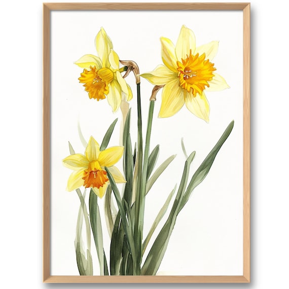 Yellow Daffodils Art Print Botanical Wall Art Narcissus Watercolor Style Decor Floral Spring Flowers Poster
