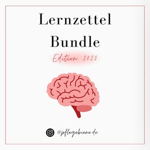 Puede incluir: Una ilustración de un cerebro rosa con líneas rojas, sobre un fondo blanco. El texto "Lernzettel Bundle Edition 2023" está por encima del cerebro, y el texto "@pflegebiene.de" está por debajo del cerebro.