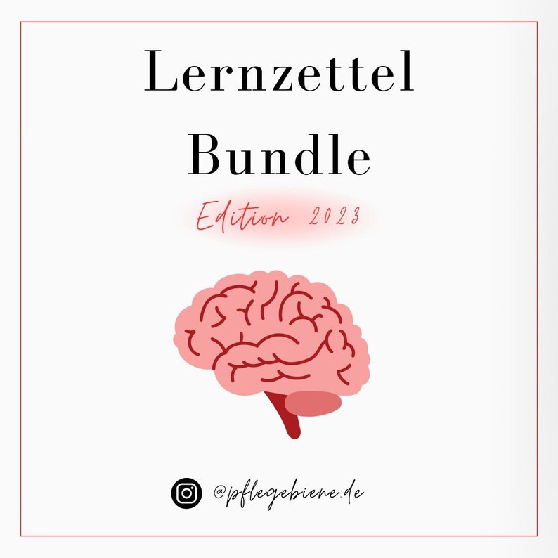 May include: A pink brain illustration with red lines, against a white background. The text "Lernzettel Bundle Edition 2023" is above the brain, and the text "@pflegebiene.de" is below the brain.