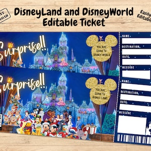 Surprise Disneyland Ticket, Disneyworld Ticket, Editable Ticket, Surprise Reveal Ticket Gift, Disneyland Ticket, Theme Park ticket