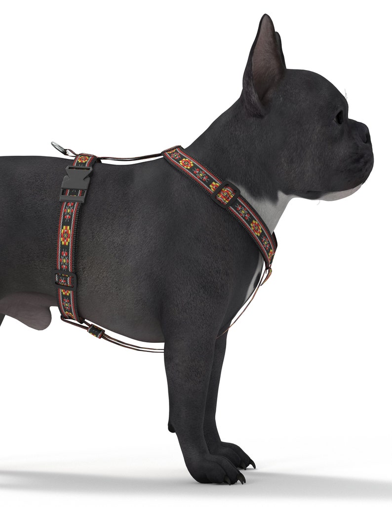 Dog Harness Sewing Pattern | DIY XS-XXL (pdf Pattern) - Etsy