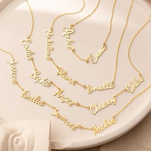 May include: A collection of gold-colored name necklaces displayed on a white plate. Each necklace features a different name in a delicate script font. The necklaces are arranged on a neutral-toned surface, with dried plants in the background.