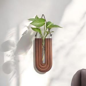 Propagation Tubes Boho Arched Wall Planter  – Modern Hanging Plant Display & Unique Gift