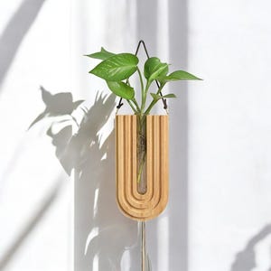 Minimalist Wall-Mounted Plant Holder - Elegant Hanging Plant Display & Gift Idea