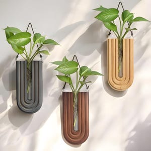 Propagation Tubes Boho Arched Wall Planter  – Modern Hanging Plant Display & Unique Gift