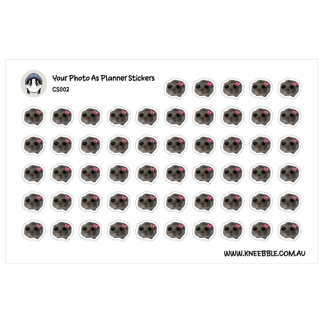 Personalised Photo Stickers Custom Planner Mini Sheet