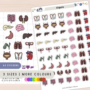 Organ Body System Planner Stickers, Science Human Anatomy Icons, Brain Intestine Lungs Kidneys Stickers, Stomach Liver Bladder Reproductive