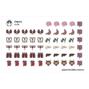 Organsystem Planner Stickers - Hjärna, Tarmar, Lungor, Njurar Etiketter