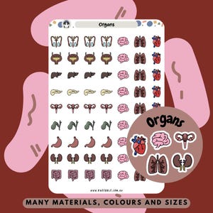 Naklejki na planer układu narządów i ciała, ikony anatomii człowieka, naklejki na mózg, jelita, płuca, nerki, żołądek, wątroba, pęcherz, układ rozrodczy