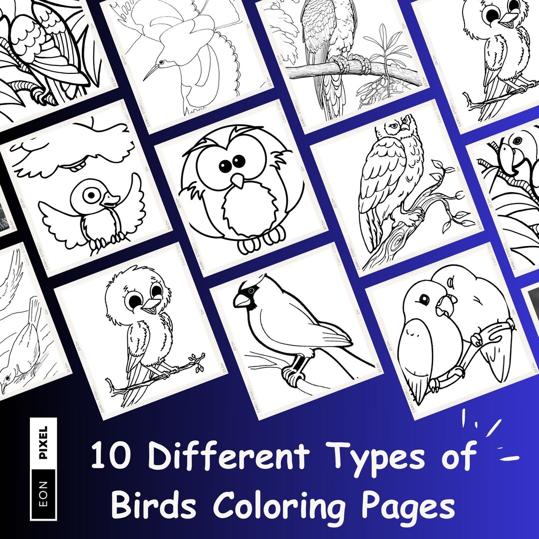 10 Different Types of Birds Coloring Pages Etsy