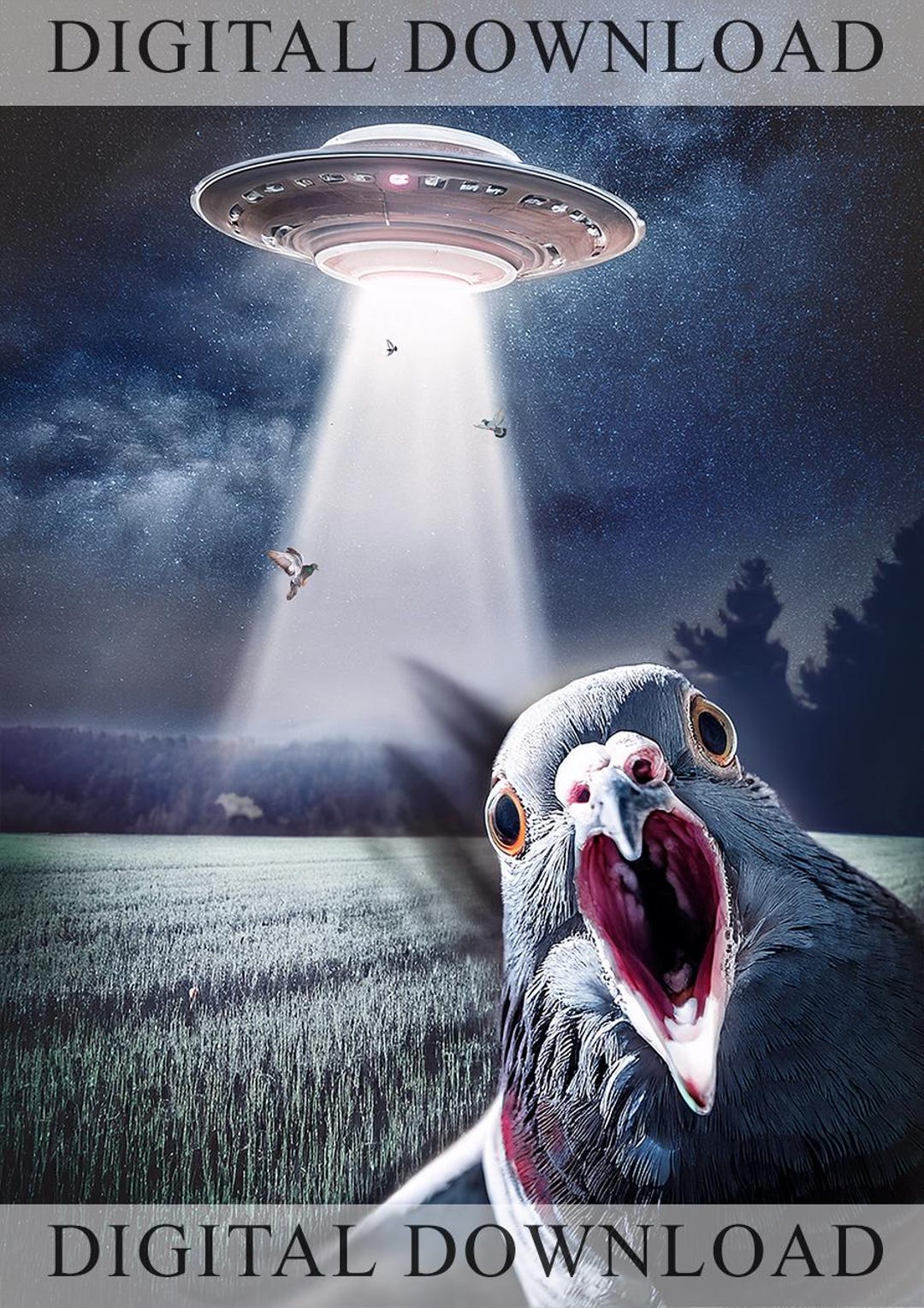 Alien Bird Selfie PNG, Funny Cat UFO Meme Sublimation, Digital Download ...