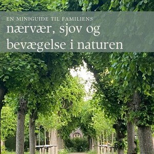 Könnte beinhalten: Ein mit Bäumen gesäumter Weg führt zu einer Lichtung in einem Wald. Der Weg ist aus Kies und von grünem Gras umgeben. Die Bäume sind hoch und haben üppiges grünes Laub. Der Text "EN MINIGUIDE TIL FAMILIENS nærvær, sjov og bevægelse i naturen af Amira Trangeled @holistiskmama.dk" befindet sich oben im Bild.