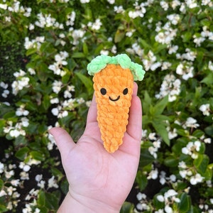 May include: A crocheted carrot toy with a smiling face and green yarn leaves. The carrot is orange and has a fuzzy texture.