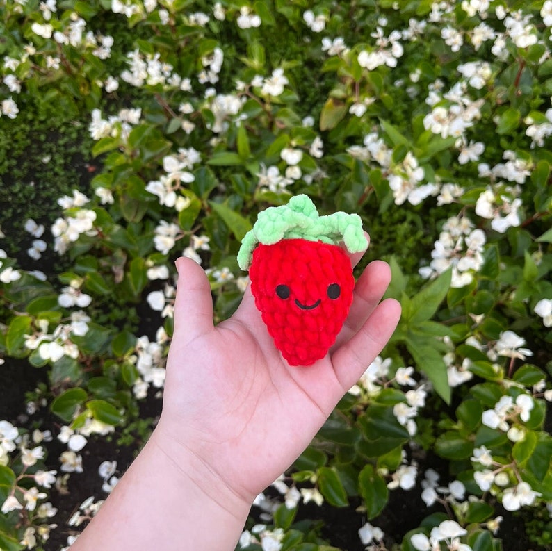May include: A red crocheted strawberry with a green crocheted stem and leaves. The strawberry has a smiling face.