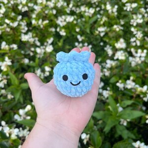 May include: A small, light blue crocheted plush toy shaped like a blueberry with a smiling face. The toy is being held in a person's hand.