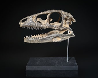 Microraptor skull sculpture