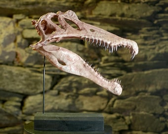 Crâne de Spinosaurus – Réplique miniature réaliste | Sculpture peinte à la main