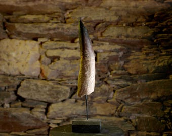 Dent de Spinosaurus – Réplique scientifique réaliste | Sculpture peinte à la main