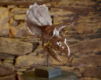Crâne de Triceratops – Réplique miniature réaliste | Sculpture peinte à la main