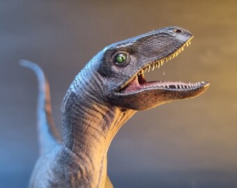 Reproduction of Sleeping Velociraptor 40 Cm in Diameter - Etsy UK