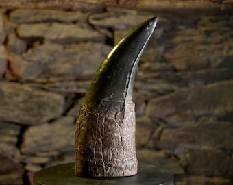 Dent de Tyrannosaure – Réplique taille réelle réaliste | Sculpture peinte à la main