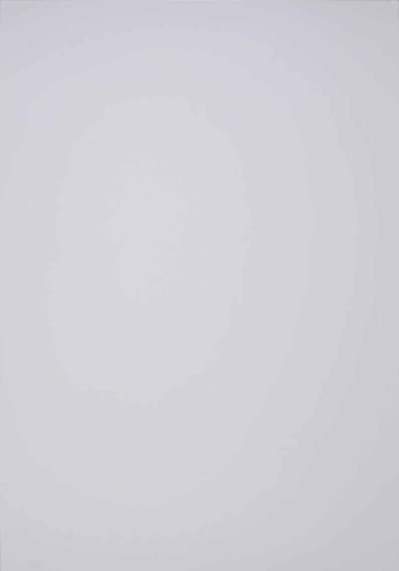 Puede incluir: Un fondo blanco liso.