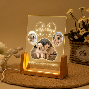 Può includere: Una cornice per foto in legno con un inserto in acrilico trasparente. La cornice ha una luce LED integrata e presenta due impronte di zampe con foto di cani all'interno. Il testo "Stella & Rocky" e "You left your paw prints in our heart forever" è inciso sulla cornice.