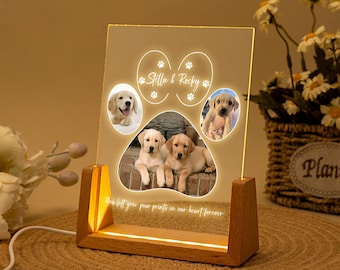 Luz nocturna LED conmemorativa personalizada para mascotas: Marco acrílico con foto personalizado