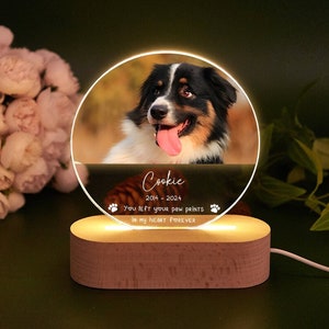 Personalized Pet Memorial LED Night Light,Custom Pet Loss Frame,Pet Photo Light,Dog Memorial Gift,Dog Cat Loss Sympathy Gift,Dog Mom Gifts image 1