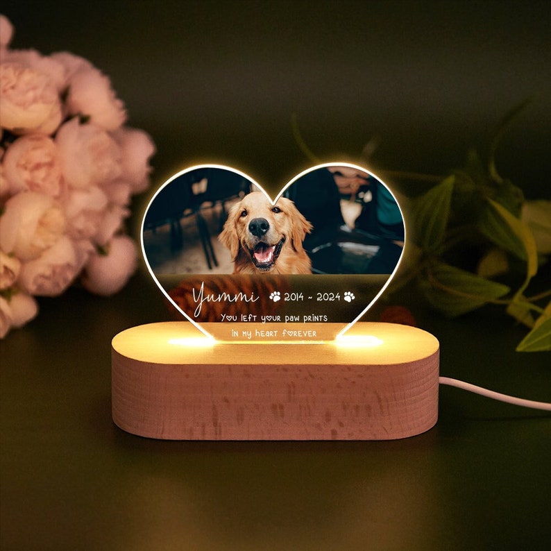 Personalized Pet Memorial LED Night Light,Custom Pet Loss Frame,Pet Photo Light,Dog Memorial Gift,Dog Cat Loss Sympathy Gift,Dog Mom Gifts image 3