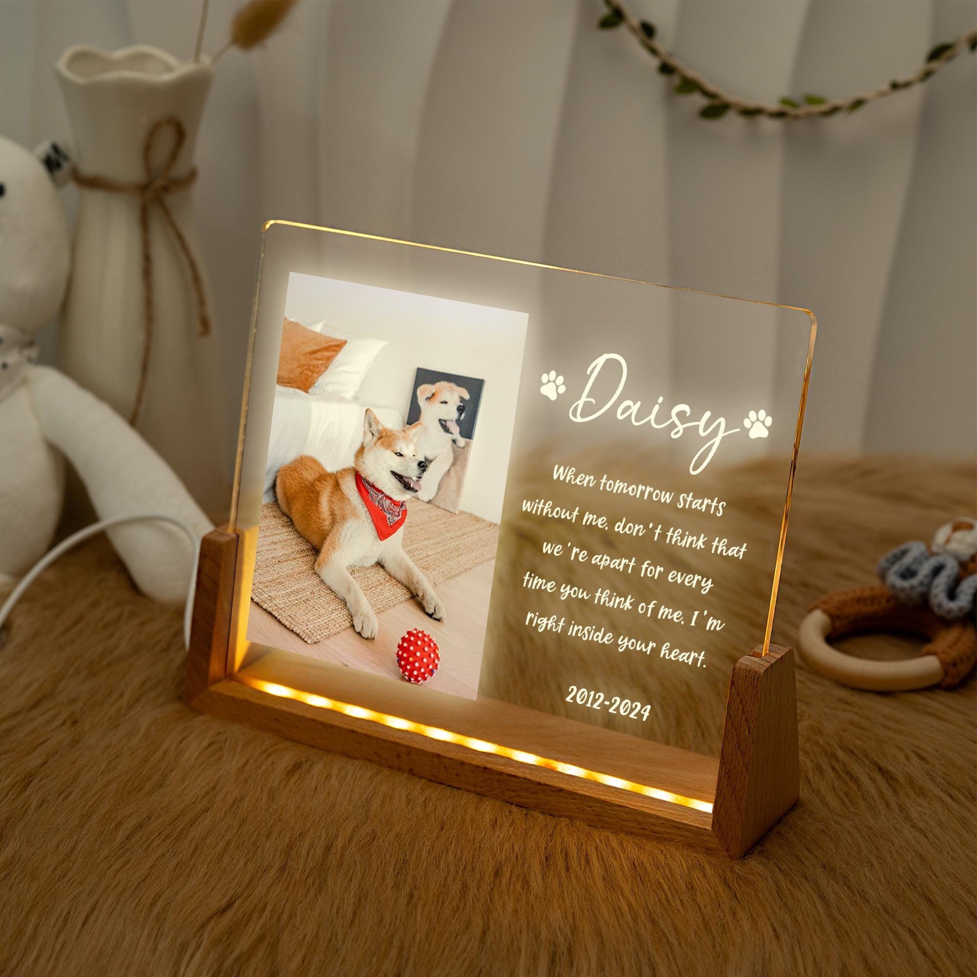 Custom Pet Memorial Photo LED Night Light - Dog Cat Loss Gift - Etsy