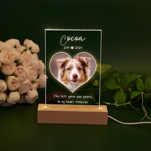 Personalized Pet Memorial LED Night Light,Custom Pet Loss Frame,Pet Photo Light,Dog Memorial Gift,Dog Cat Loss Sympathy Gift,Dog Mom Gifts image 2
