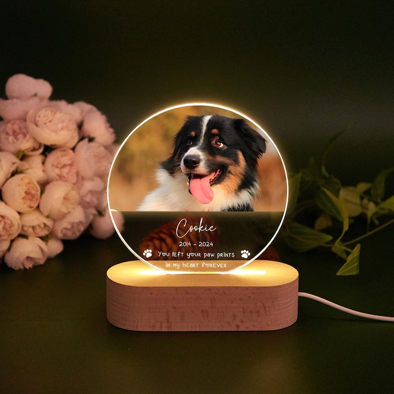 Personalized Pet Memorial LED Night Light,Custom Pet Loss Frame,Pet Photo Light,Dog Memorial Gift,Dog Cat Loss Sympathy Gift,Dog Mom Gifts image 1