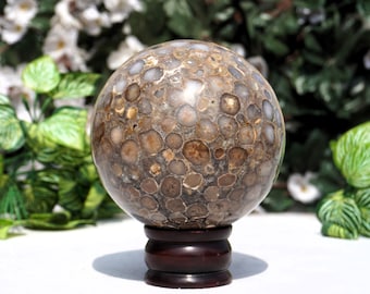 AAA+ | 115MM |  CobraTuritela Jasper Stone Sphere Minerals Metaphysical Sphere Ball.