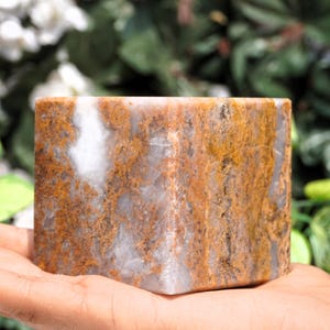 May include: A rectangular, natural stone object with a mix of brown, white, and gray tones. The stone has a textured surface and appears to be hand-held. The background features green foliage and white flowers.