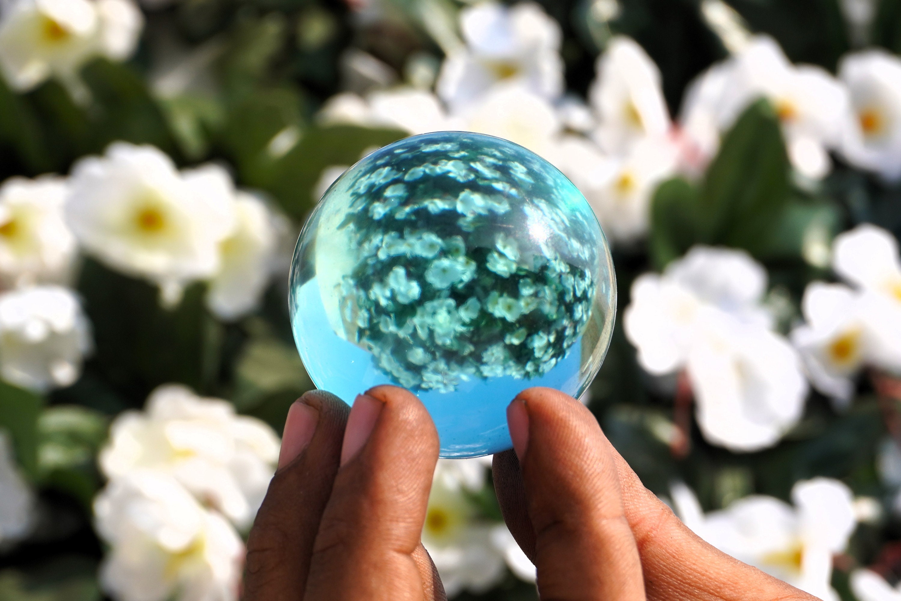 Vedi Il Tuo Futuro Nella Magica Sfera Di Cristallo Su Un Semplice - Foto 10