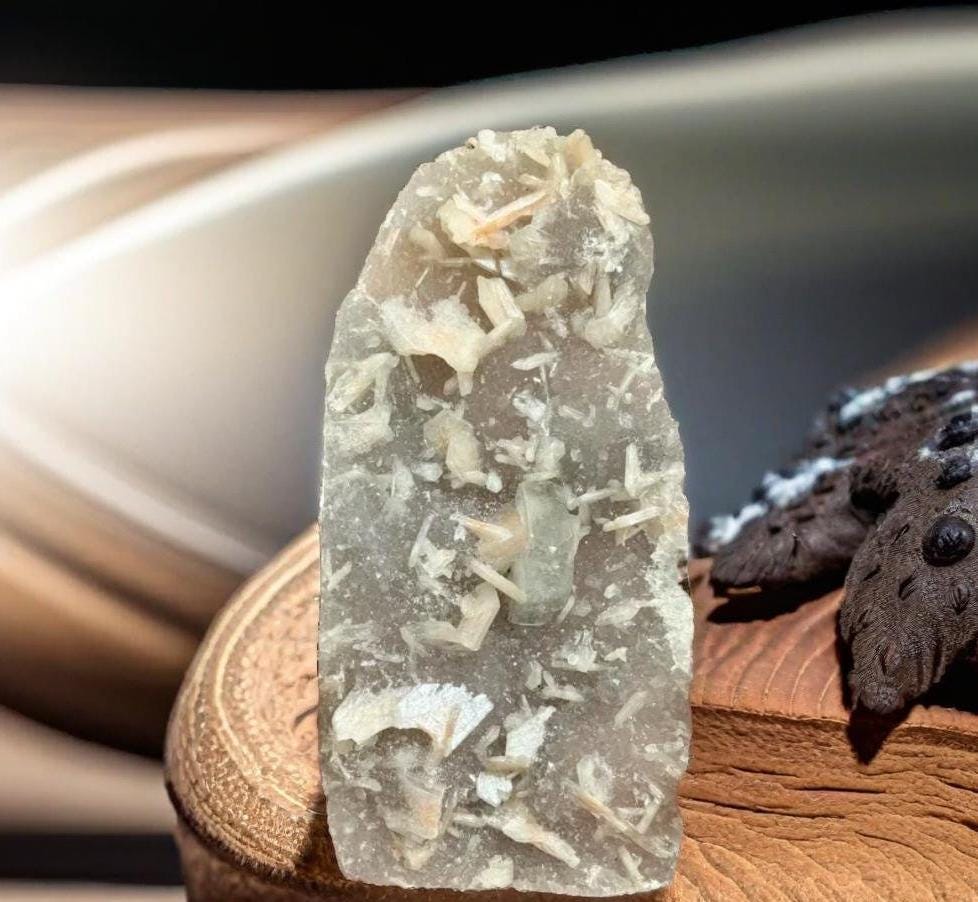 カルセドニースティルバイト (貴重 珍品 宝石 原石 天然石 鉱物 石 ストーン 結晶 観賞石 アンティーク コレクション) 7インチ スティルバイト（カルセドニー入り）標本：原石コレクター